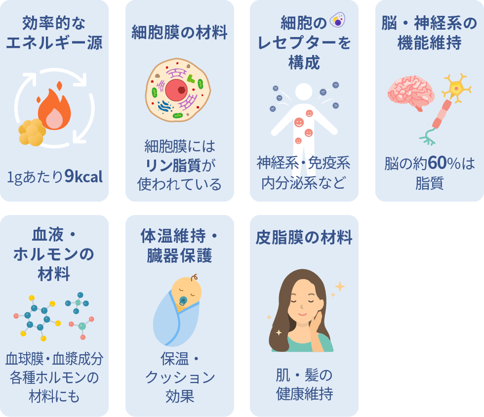 脂質が果たす多彩な役割（図）