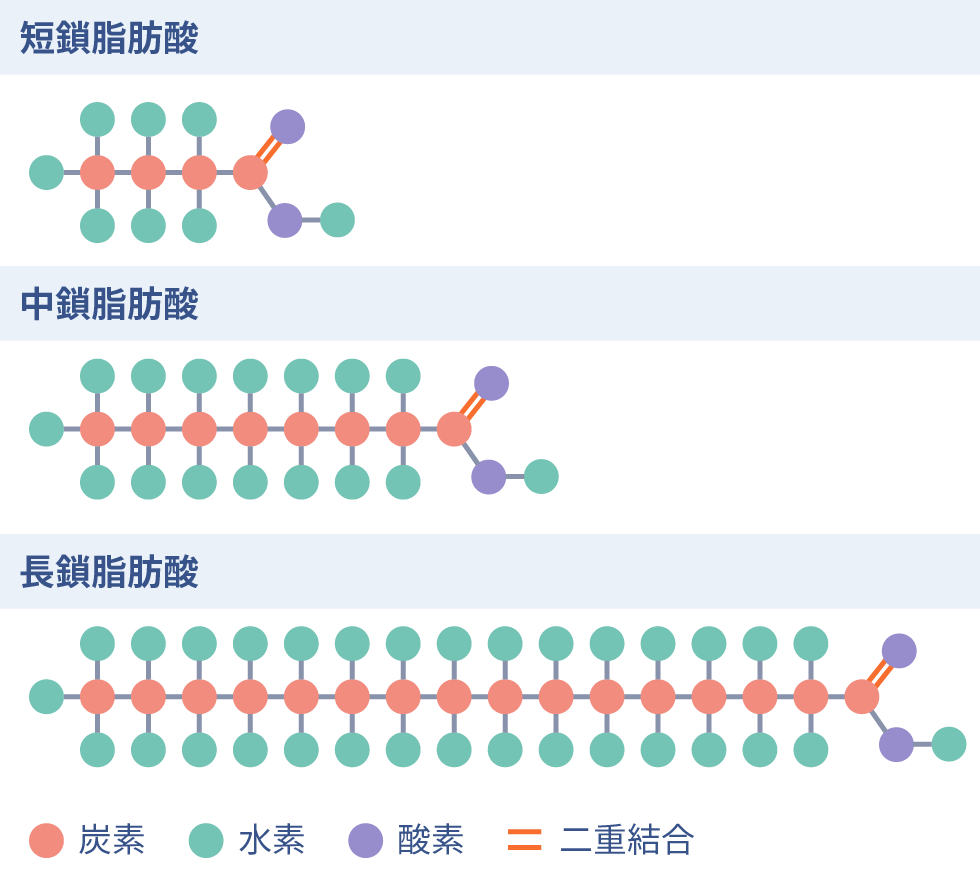 炭素の数（鎖の長さ）による分類 短鎖脂肪酸 / 中鎖脂肪酸 / 長鎖脂肪酸