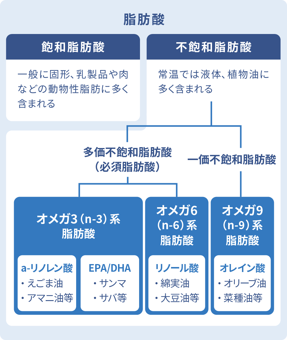 脂肪酸 一般に固形/乳製品や肉などの 取で体動物性脂肪に多く含まれる飽和脂肪酸 / 常温では液体／植物油に多く含まれる不飽和脂肪酸（図）