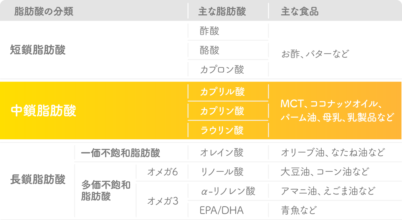 脂肪酸の分類・主な脂肪酸・主な食品表