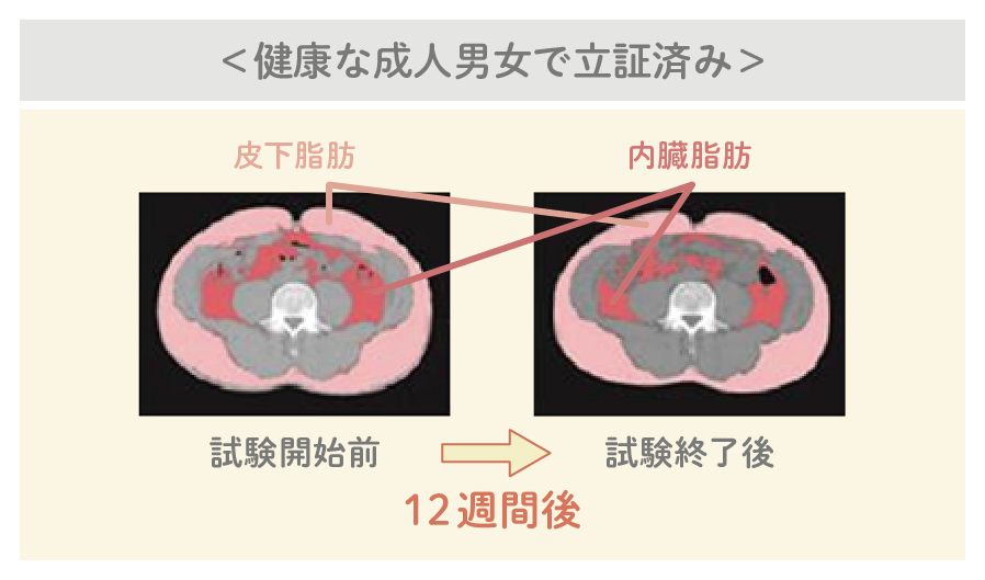 健康な成人男女で立証済み