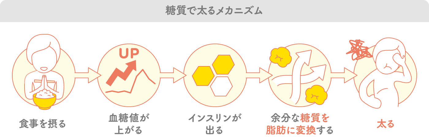 糖質で太るメカニズムイメージ