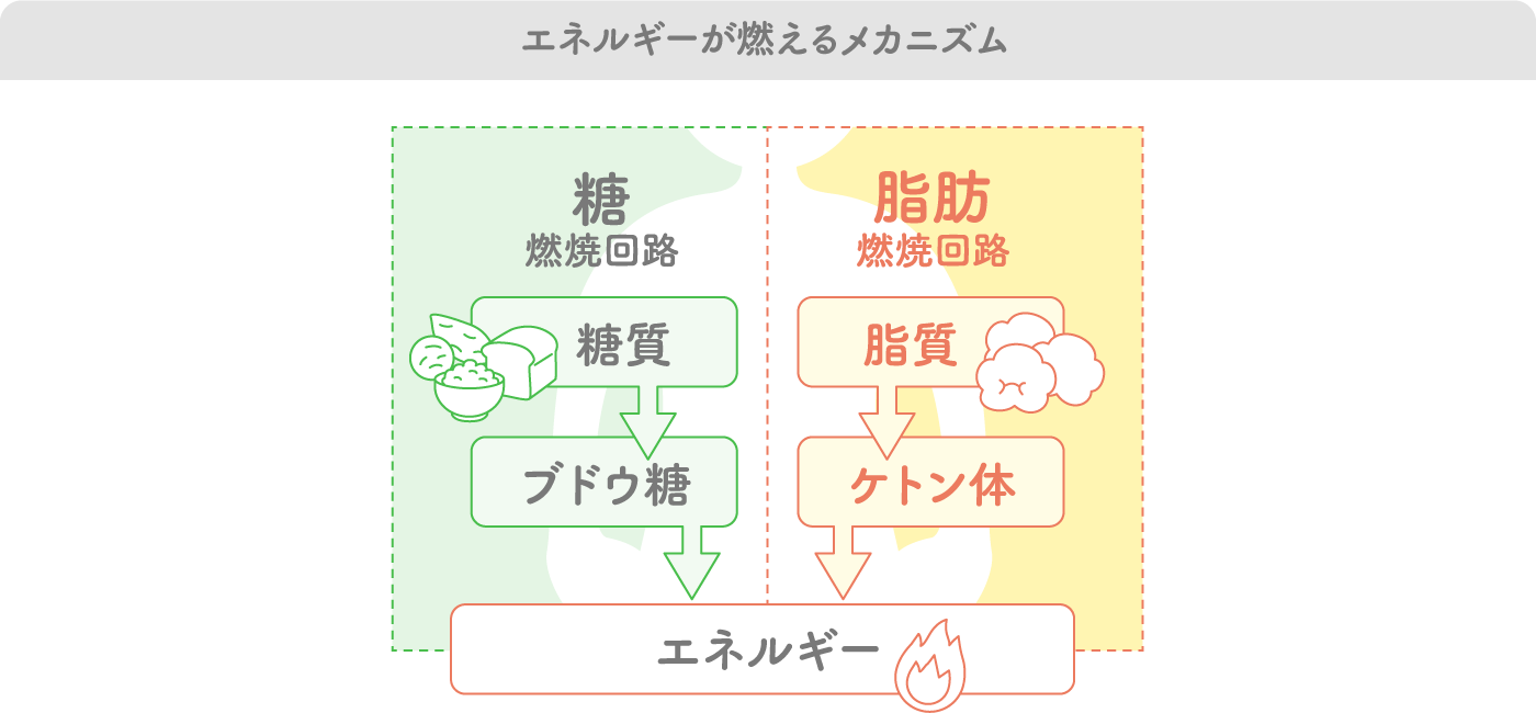 エネルギーが燃えるメカニズムイメージ