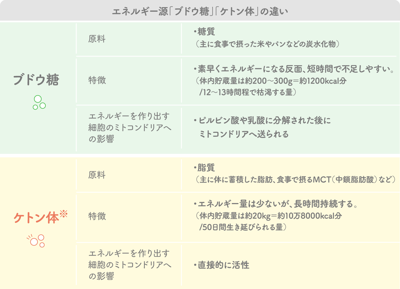 ブドウ糖とケトン体の違い