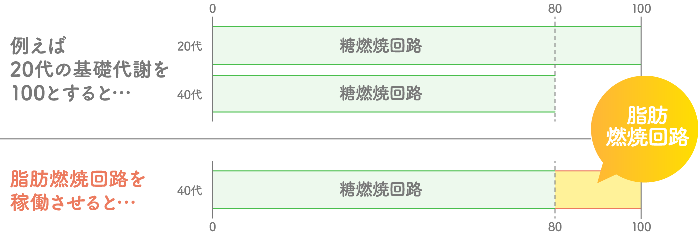 年代別基礎代謝グラフ