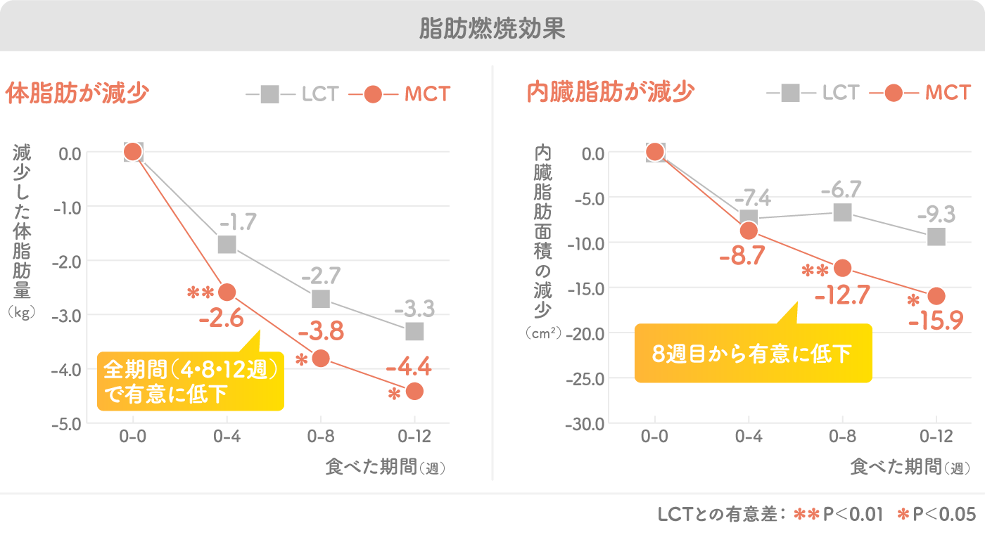 脂肪燃焼効果のグラフ