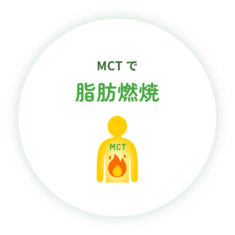 MCTで脂肪燃焼